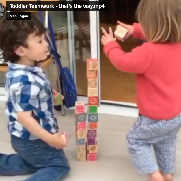 Wow! Toddlers Nail Teamwork 101 – Why Can’t Politicians?